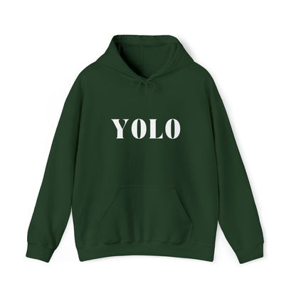 S Forest Green YOLO Hoodie from HoodySZN.com