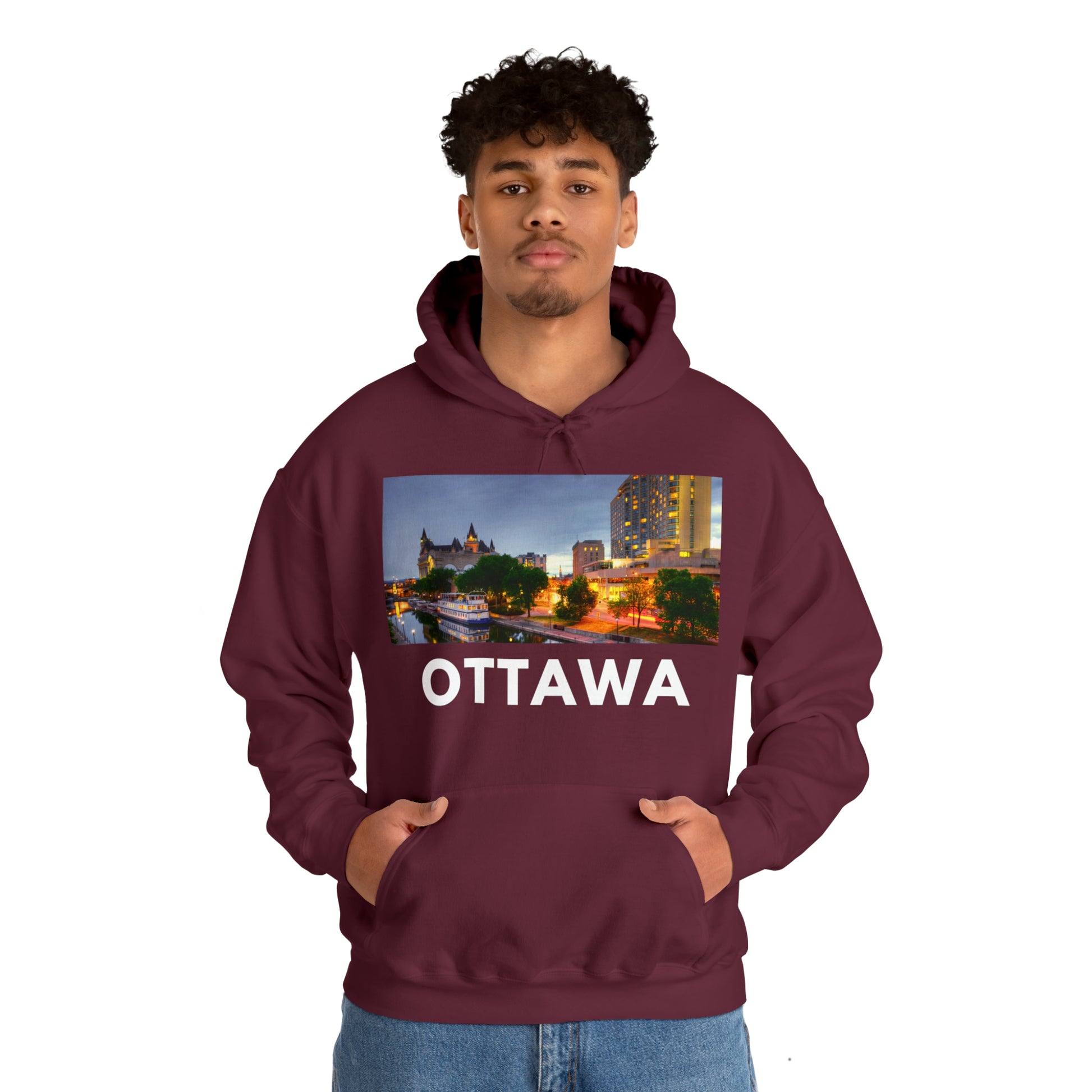   Ottawa Hoodie: Parked Canal from HoodySZN.com
