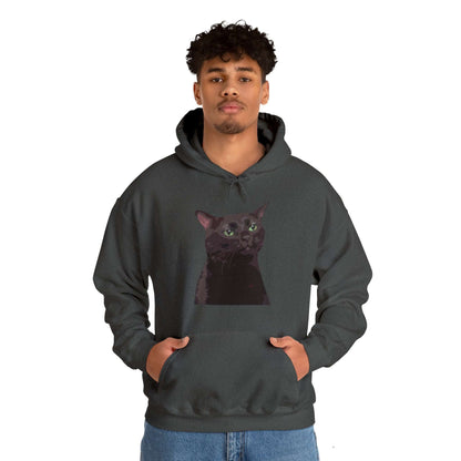   Black Cat Zoning Out Hoodie from HoodySZN.com