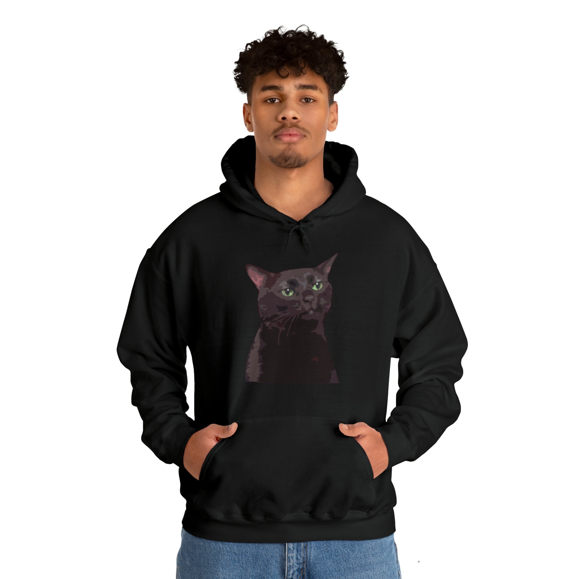   Black Cat Zoning Out Hoodie from HoodySZN.com